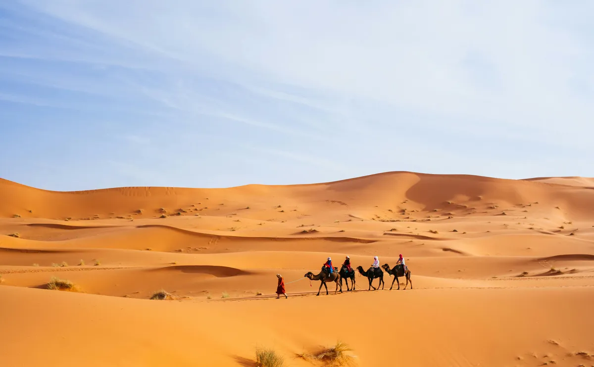 Camel caravan crossing Sahara at sunrise