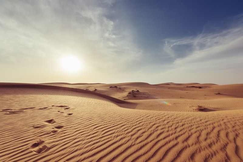 Saharan dunes at sunrise